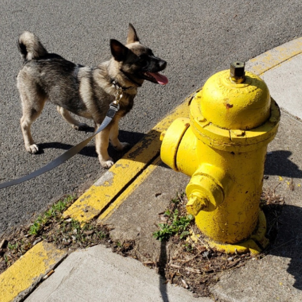 Meet your Posher, John
